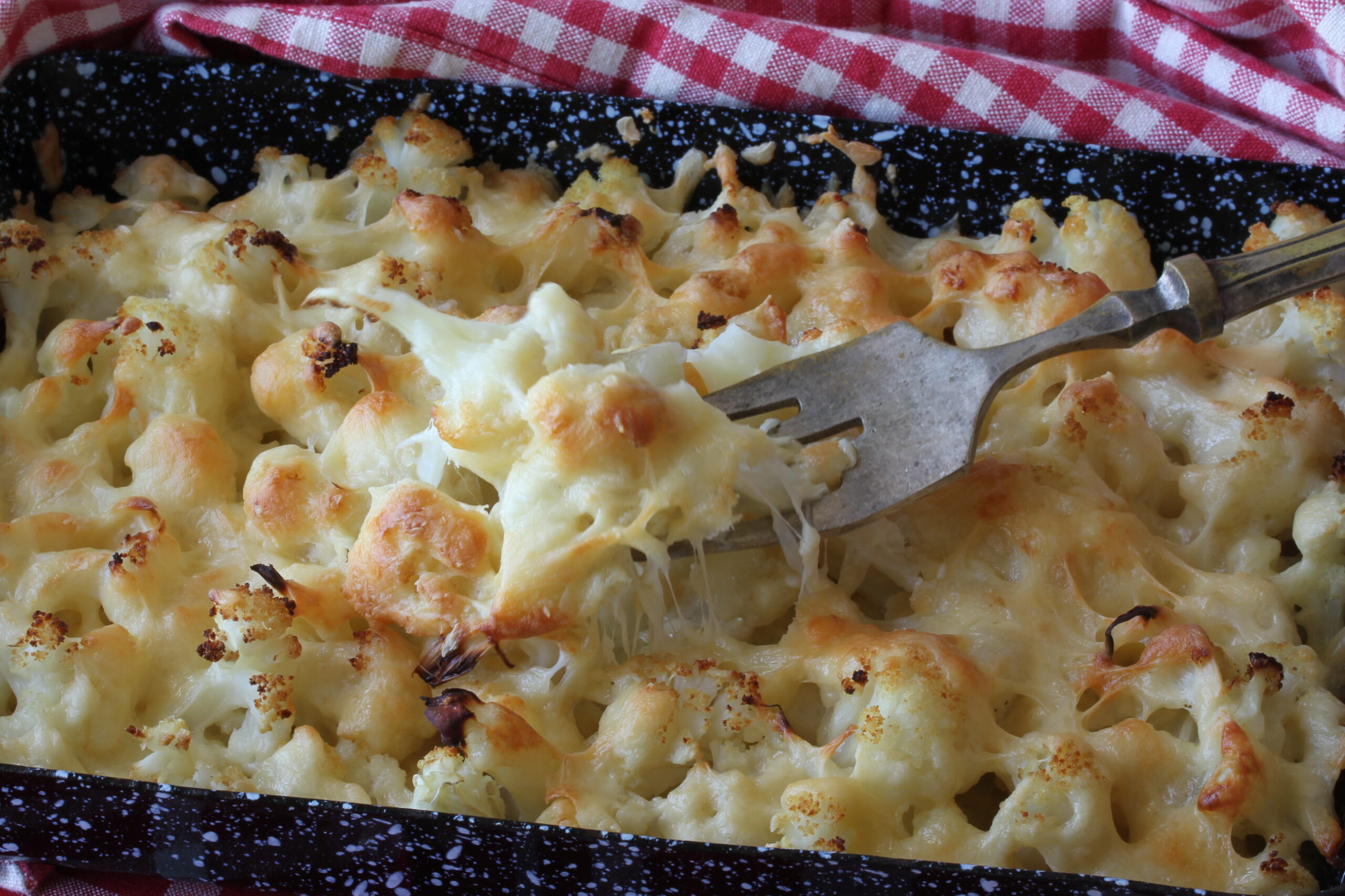 כרובית אפוייה עם גבינה צהובה