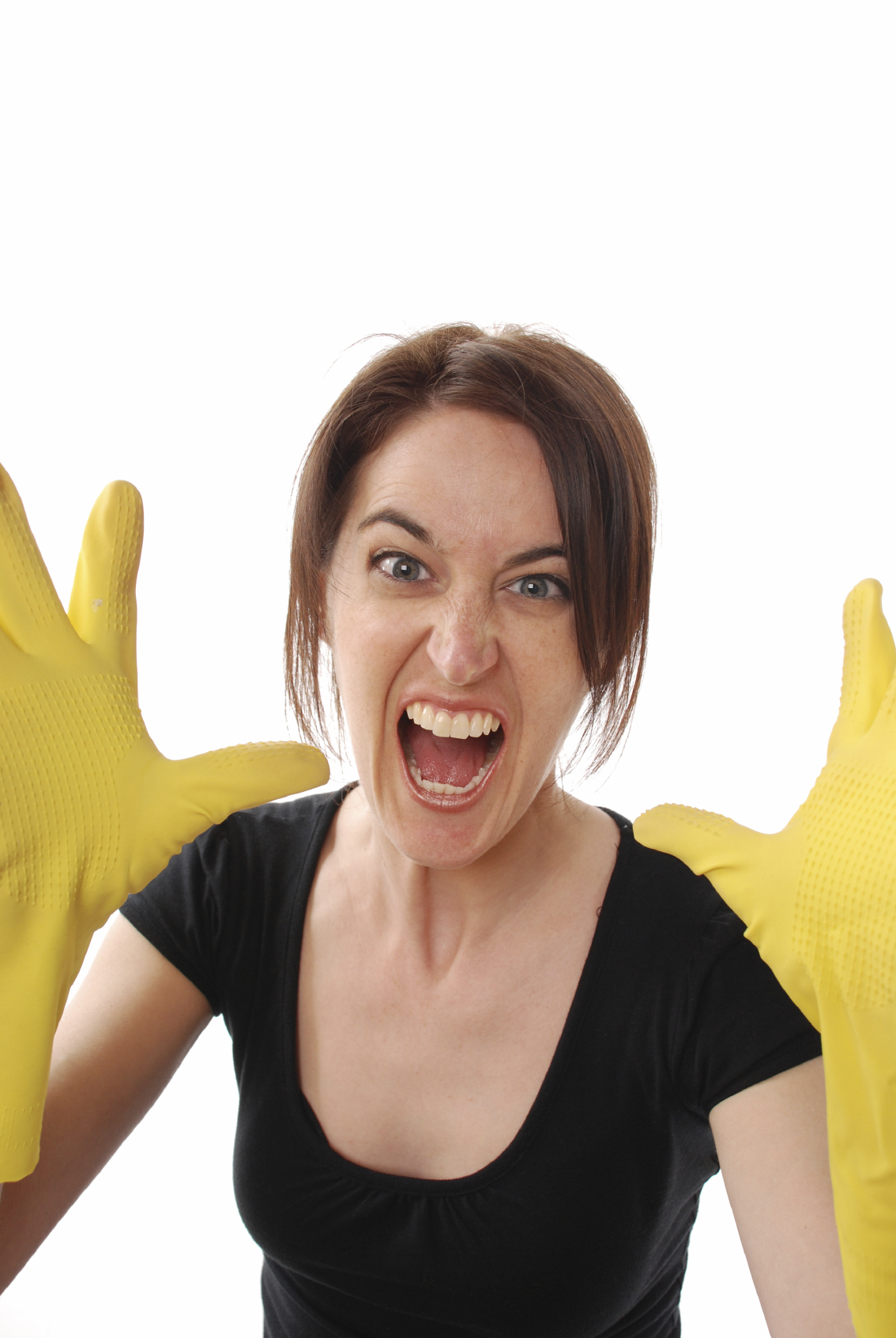 נקיונות לפסח